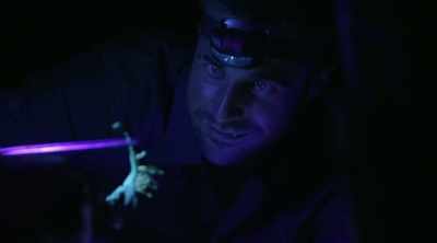 - What a crazy-looking arachnid. - Kings of Pain
