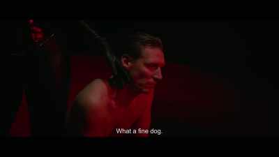 What a fine dog. - Dogs Don't Wear Pants
