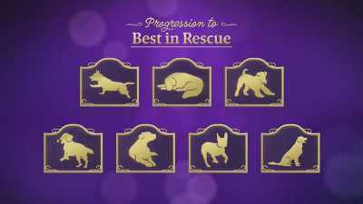 What a great underbite and
a great story with LisaMarie. - 2022 American Rescue Dog Show