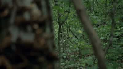 - What a joke. - The Walking Dead