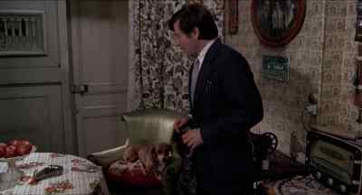 What a lovely little doggie you are. - The Tenant
