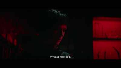 What a nice dog. - Dogs Don't Wear Pants