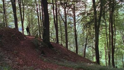 What a nice man that hermit was - The Beautician and the Beast