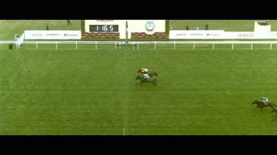 What a race! My
first impression is that Dragon Symbol - Horsepower