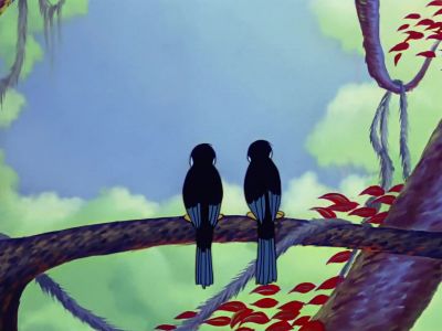 What a time two toucans have making love - The Three Caballeros