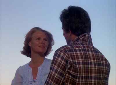 What a touching gesture. - The Incredible Hulk