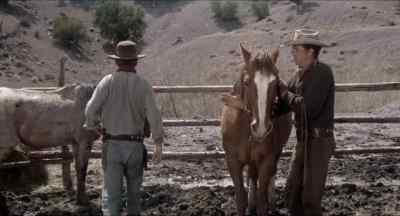 What about Coigne's, Will? - The Shooting