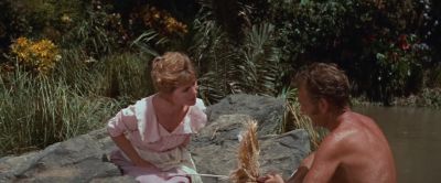 What about our sons - Swiss Family Robinson
