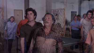 What about my plane! - Killer Fish