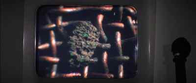 What about the bits of green? - The Andromeda Strain