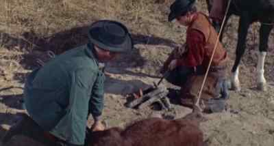 What about the fence?
Somebody ought to go fix it. - Face of a Fugitive
