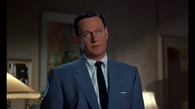What about the knife and the sawDid you ever own a saw Well at home in the garage I hadHow many people did you cut up with it - Rear Window