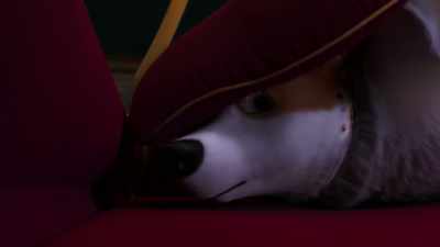 What about the pope's house? - The pope? - The Queen's Corgi
