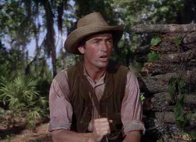 What am I to do? - The Yearling