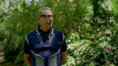 What am I doing here?
Well, as you know, I love play. - The World According to Jeff Goldblum
