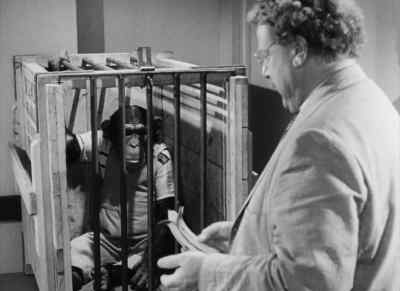 What am I going to do with you - Bedtime for Bonzo