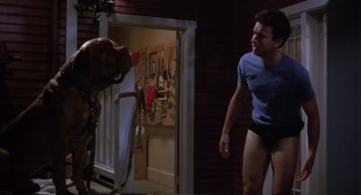 What am I supposed to do Hooch - Turner &amp; Hooch