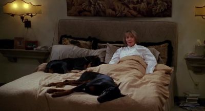 What am I supposed to do Sleep standing up - Father of the Bride Part II