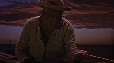 What an excellent fish dolphin is... - The Old Man and the Sea