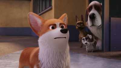 What are you doing here? Are you crazy? - The Queen's Corgi