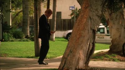 What are we doing here ? - CSI: Miami