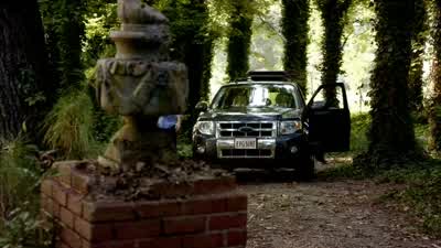 What are we doing here? - The Vampire Diaries