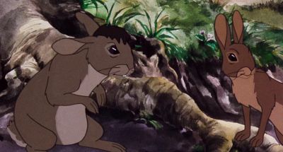 What are you doing here - Watership Down