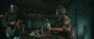 - What are you doing?
- Here. - My Penguin Friend