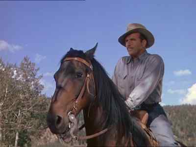 What are you doing here? - My Friend Flicka
