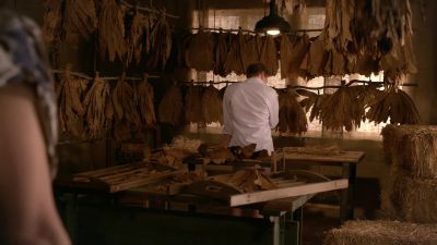 What are you doing in a barn? - Weeds
