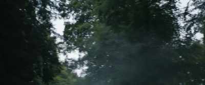 What are you doing? Lea I/e immediately.
This is private property. - In the Earth