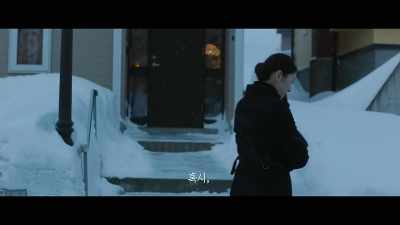 What are you doing now? - Moonlit Winter