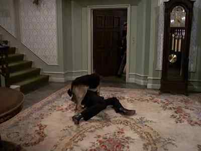 What are you doing? - Mission: Impossible