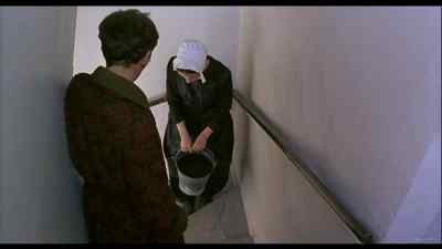 What are you doing? - Angels and Insects