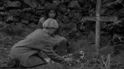 What are you doing? - The Juniper Tree