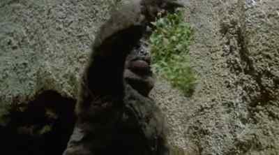 What are you doing? - Queen Kong