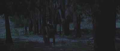 What are you doing? - Two Mules for Sister Sara