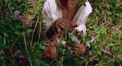 What are you doing? - Walkabout