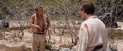 What are you doing - Swiss Family Robinson