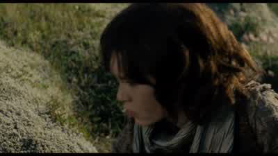 NOAH: Ham. - Noah