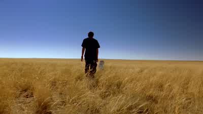 What are you doing? - Breaking Bad