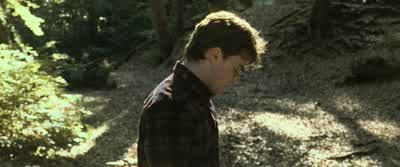 What are you doing? - Harry Potter and the Deathly Hallows: Part 1
