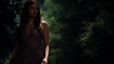 What are you doing? - The Vampire Diaries