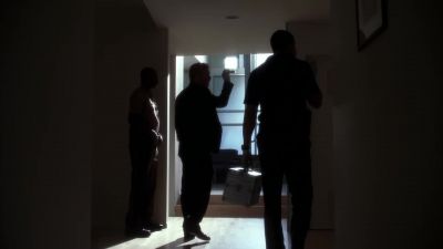 What are you doing? - CSI: Miami