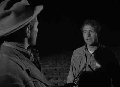 What are you doing trampling
on that young lettuce? - Border Incident