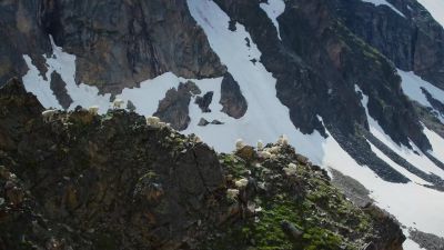 Up here, - Big Beasts