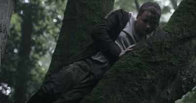 What are you doing up
that tree? Ey? - Among the Living