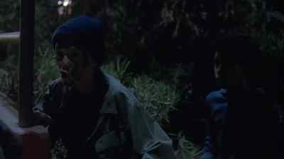 What are you doing? What
are you doing? What are you doing? - Jack the Bear