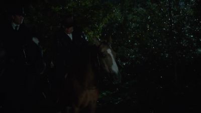 What are you doing?
Why are we stopping? - Murdoch Mysteries