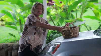 What are you doing with that?
You. - Romance in Hawaii